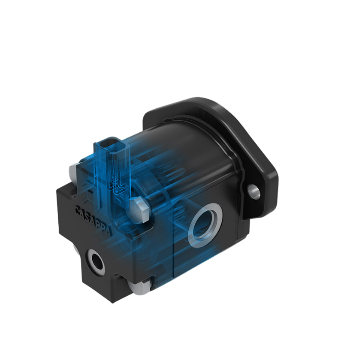 valvole integrate casappa